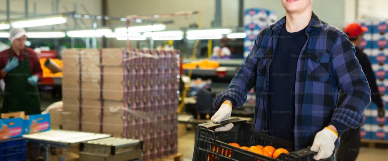 Productiemedewerker groente en fruit